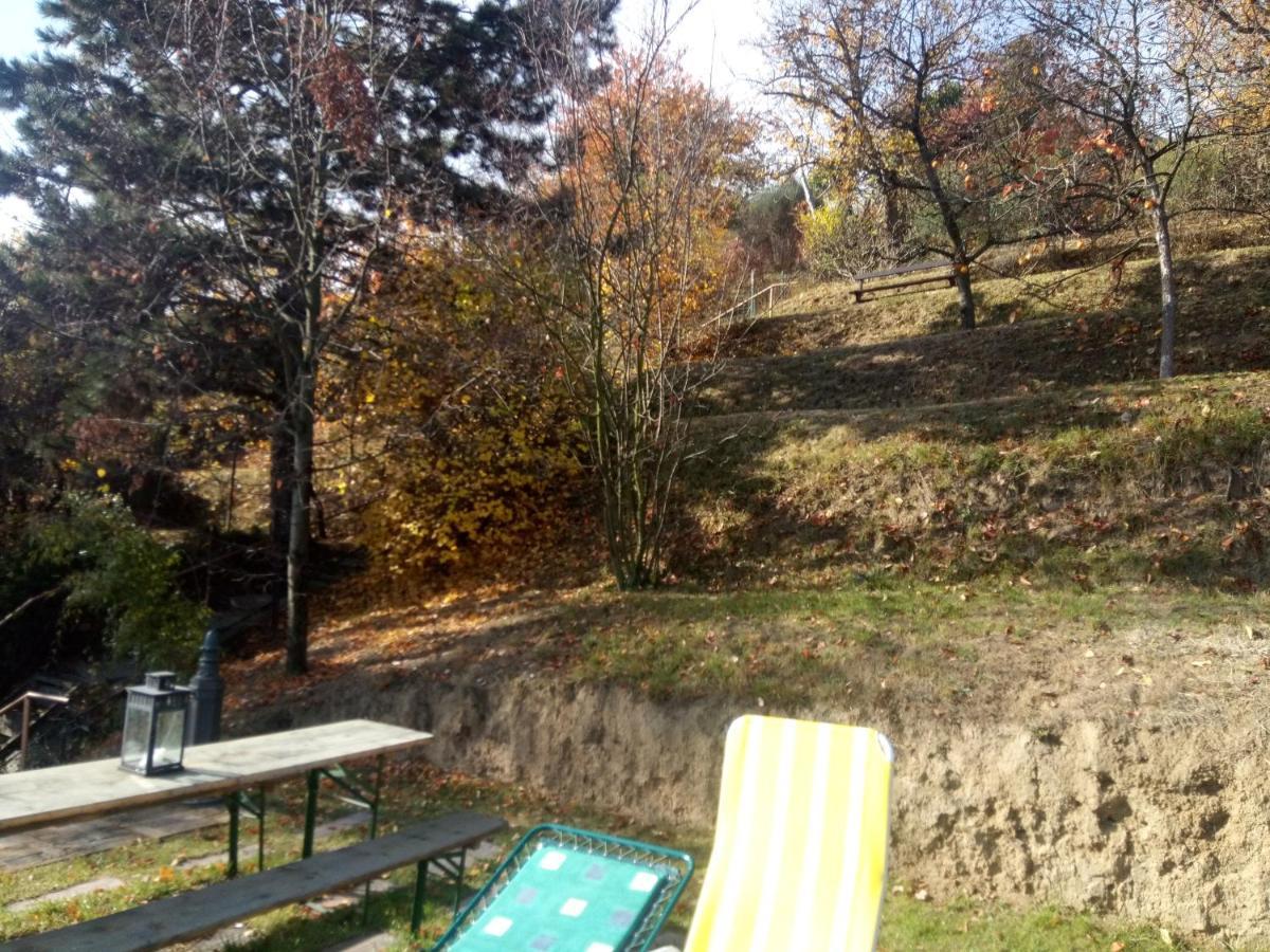 V4 Kilatoterasz Apartmanok Foeldszint Nagymaros Exterior photo