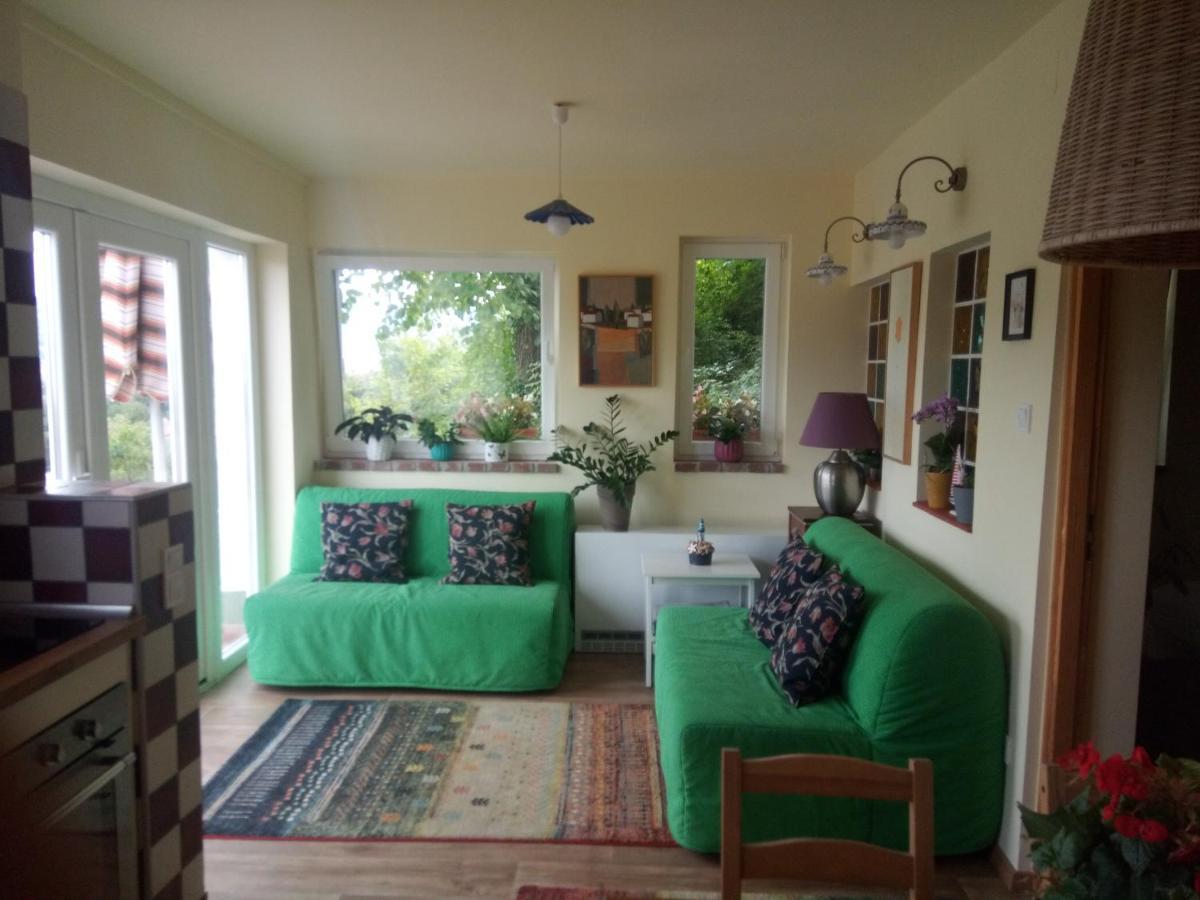 V4 Kilatoterasz Apartmanok Foeldszint Nagymaros Exterior photo